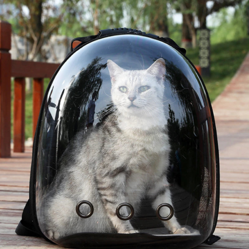 Cat Transparent Space Capsules