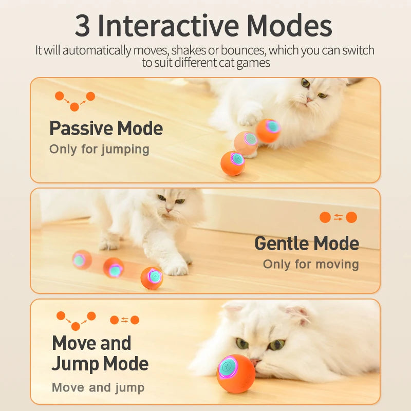 Smart Cat Automatic Bouncing Ball